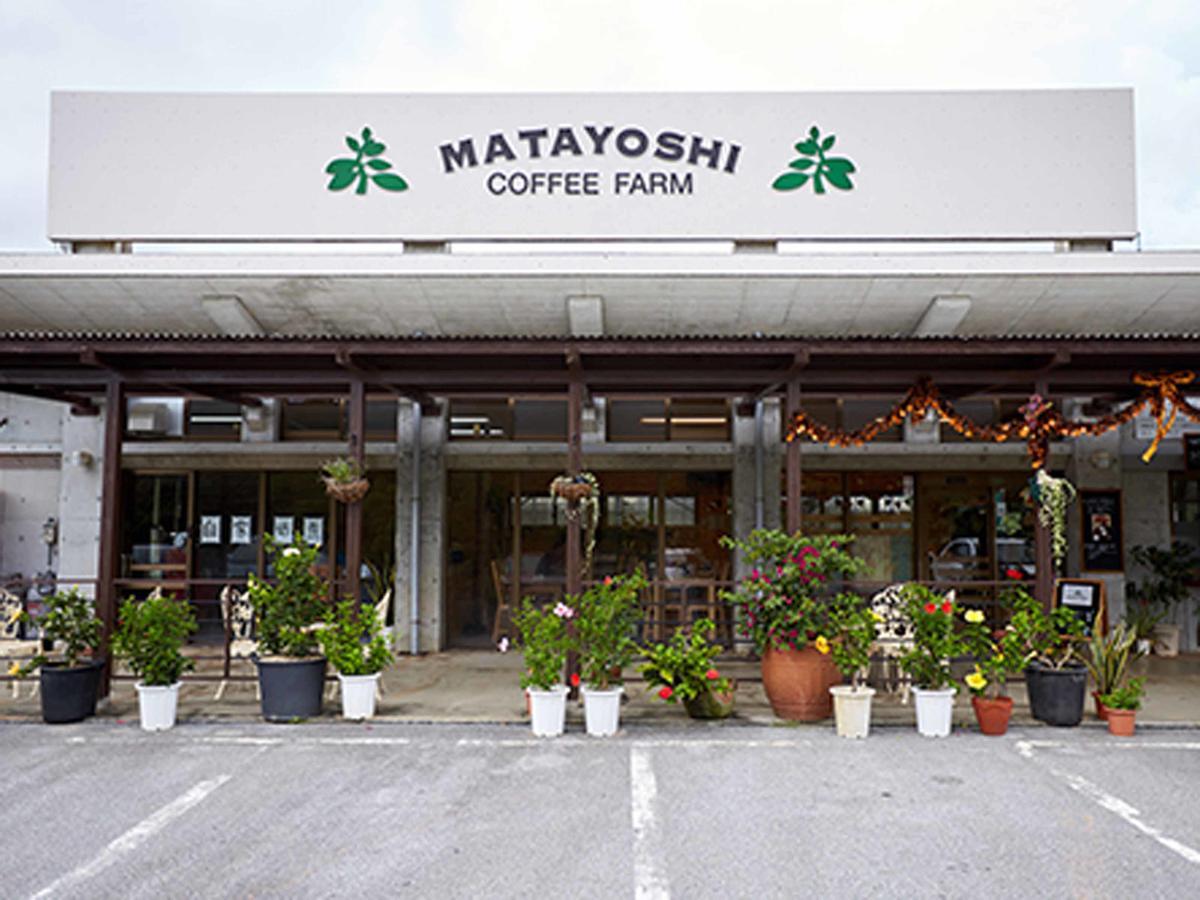 Matayoshi Coffee Farm Villa Higashi Eksteriør billede