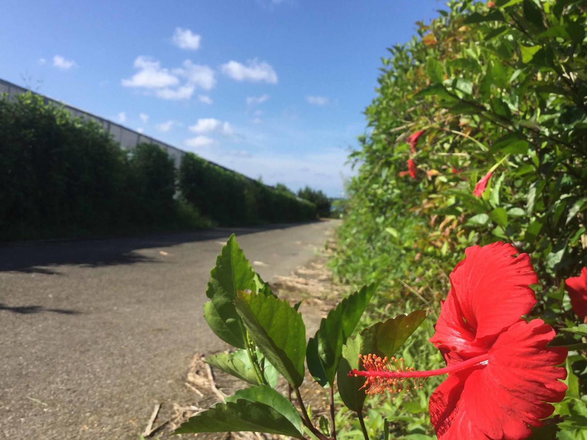 Matayoshi Coffee Farm Villa Higashi Eksteriør billede
